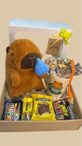Box cumple Capybara con peluche 